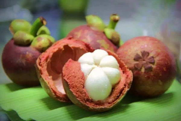 Mangosteen