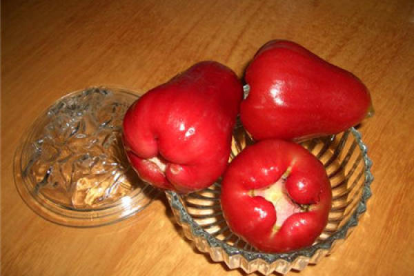 Wax apple