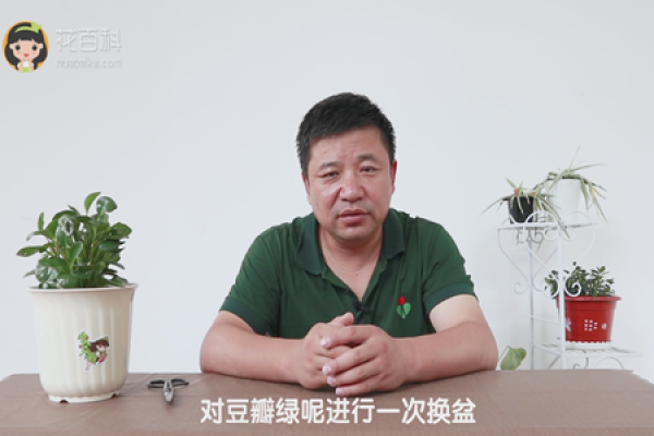 Dou Douban Lu is going to change the basin once.