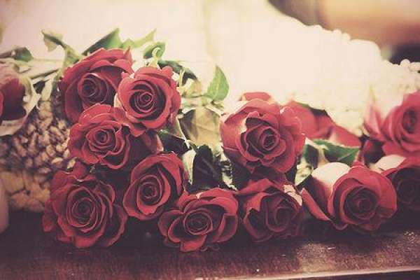 rose