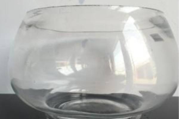glass fish tank