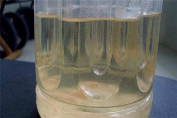 Fermented rice-washing water