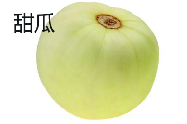 Muskmelon skin