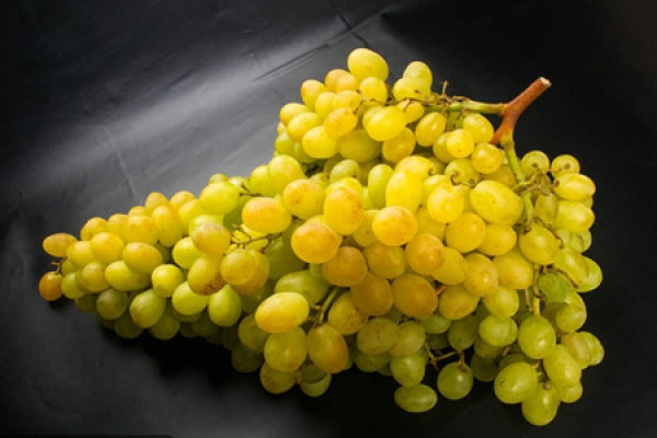 grape