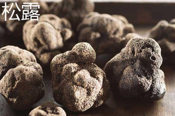 Truffle