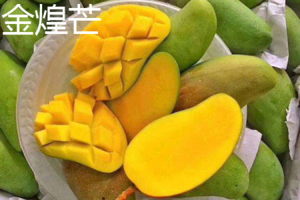 Jin Huang mang Jin Huang mang