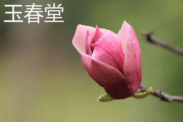 Yu Chun Tang