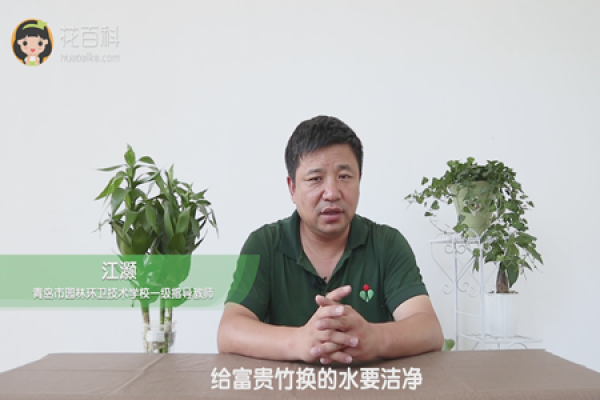 clean the water for the rich and the noble bamboo