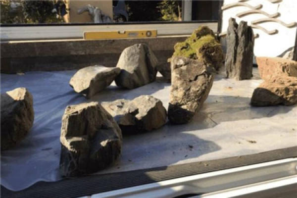 truck bonsai