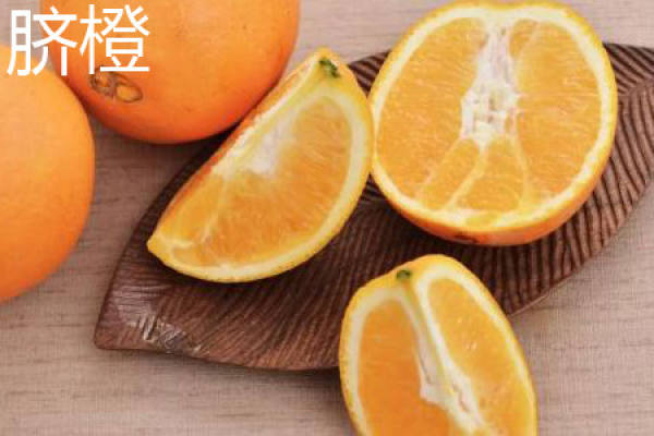 Navel Orange