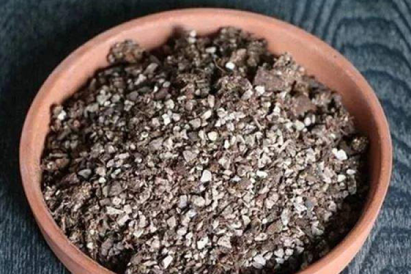 Chlorophytum