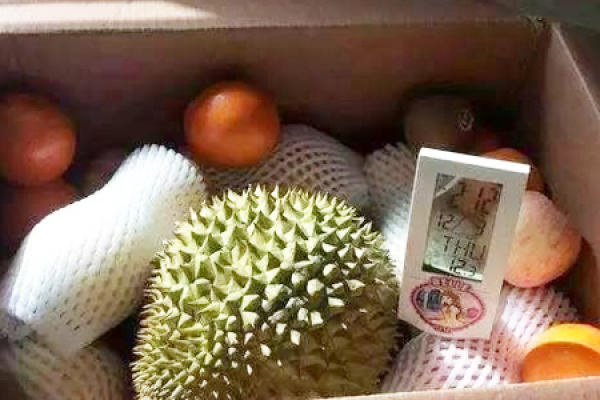 durian