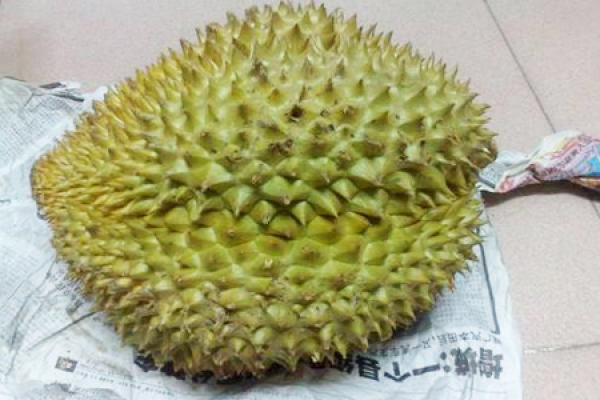durian