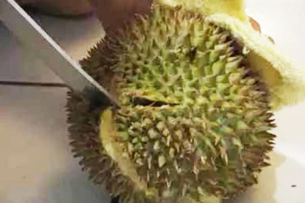 durian