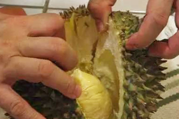 durian