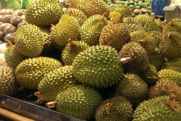 durian
