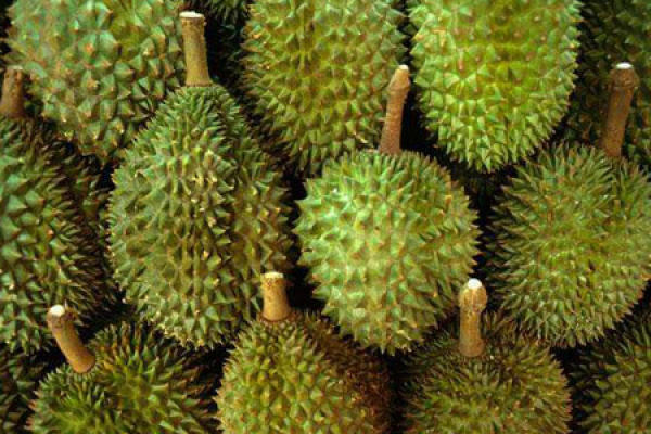 durian