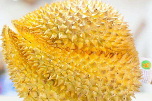 Durian