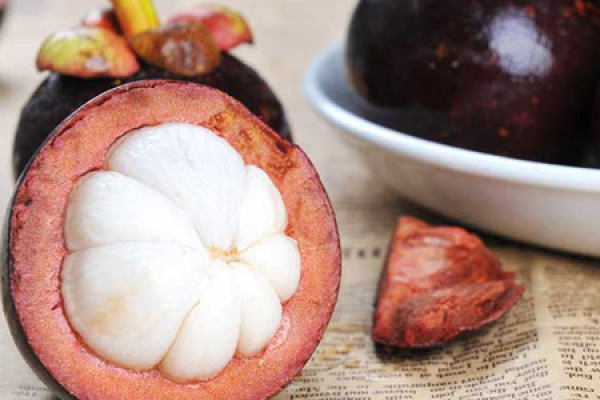 Mangosteen