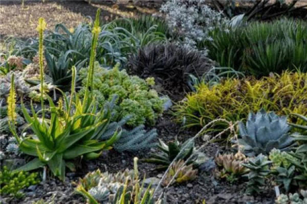 meaty garden