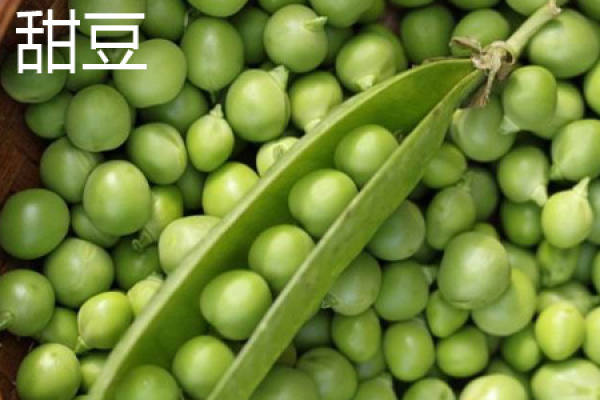 sweet bean leaves