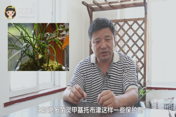 Control of plant diseases and insect pests