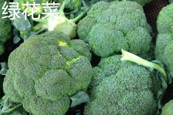 Green cauliflower leaves