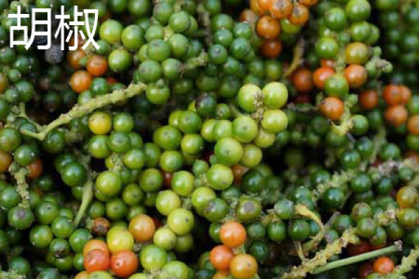 pepper leaves. JPG