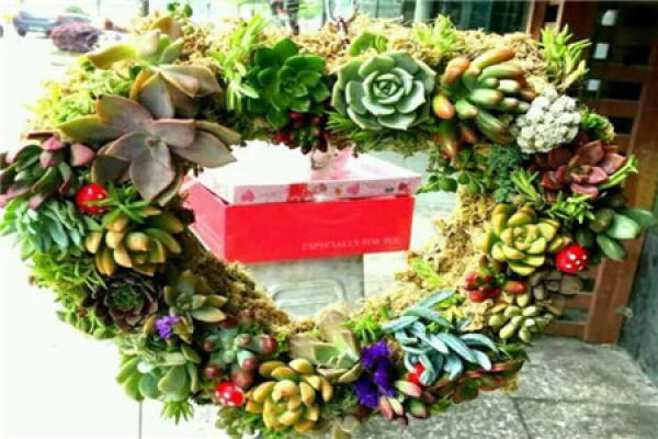 Fleshy wreath
