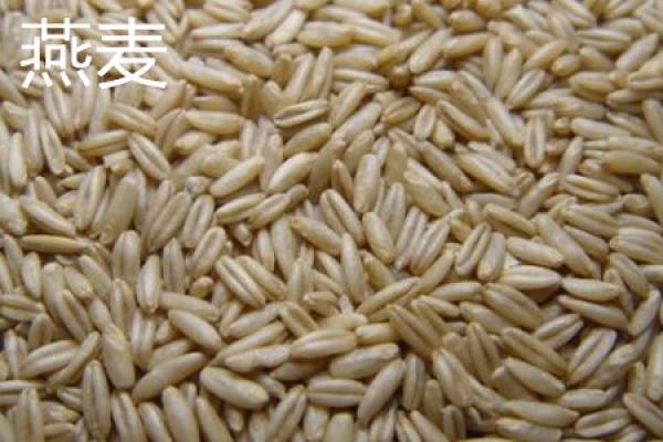Oats
