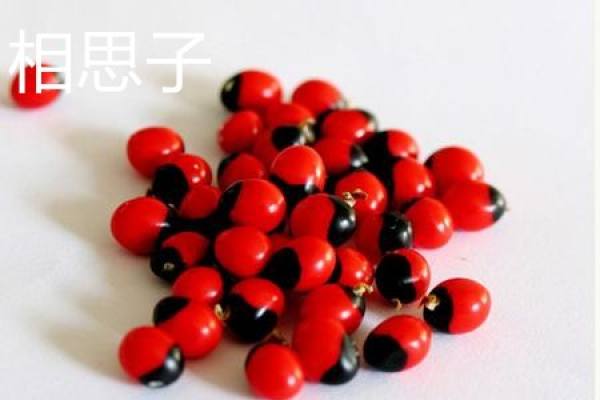 Acacia seed