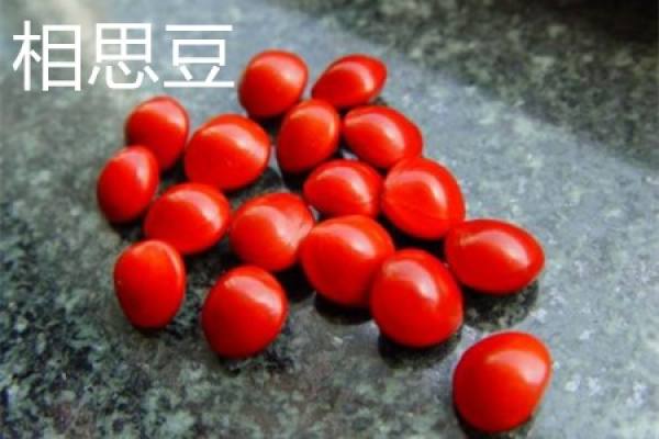 Acacia bean