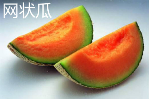 netted melon