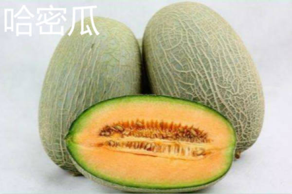 netted melon