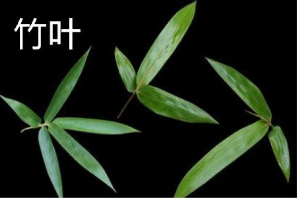 Bamboo leaves