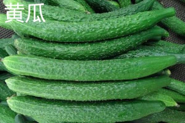 Cucumber fruit