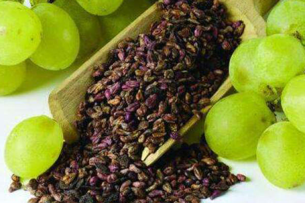 grape seed