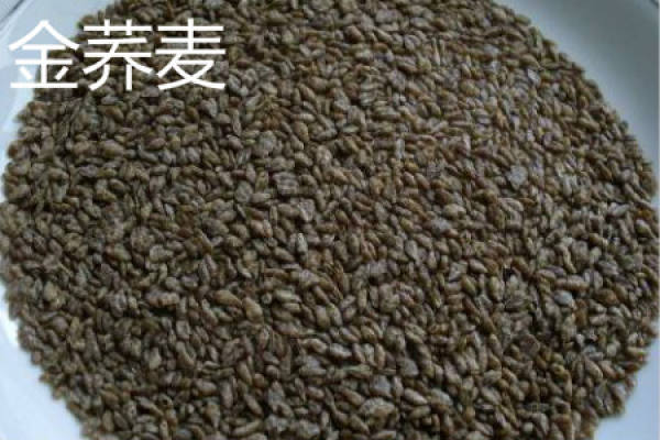 buckwheat