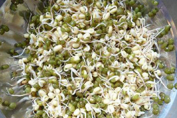 Bean sprouts