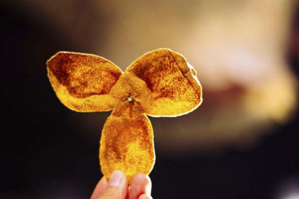 orange peel