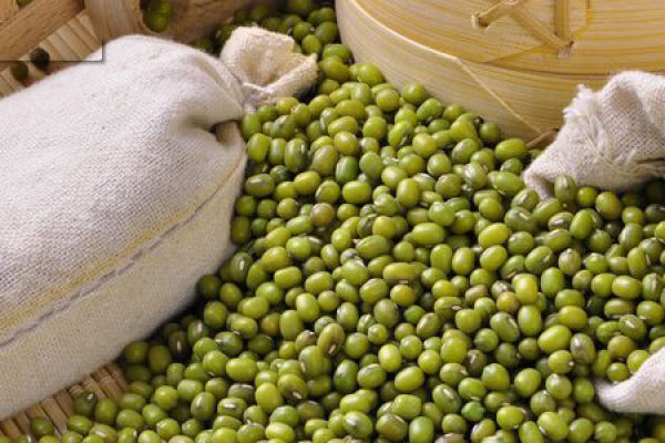 mung bean
