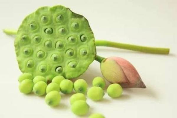Lotus seed