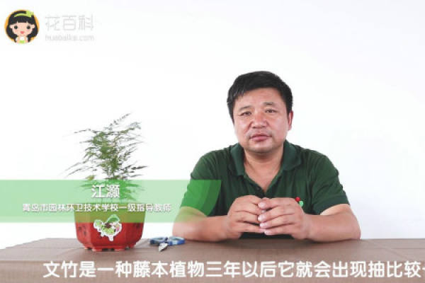 Yun Zhu
