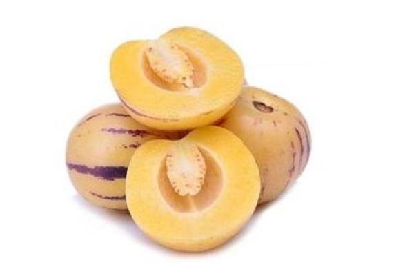 Ginseng seed