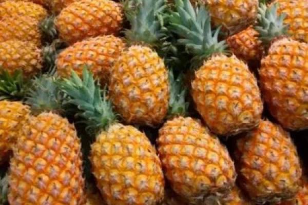 Pineapple