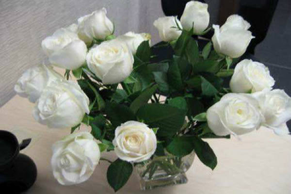 White Rose