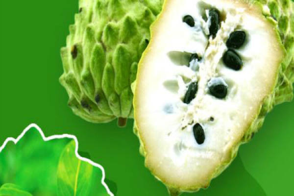 Sakya fruit