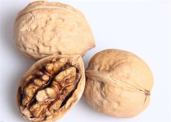 Walnut