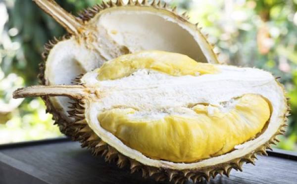 Durian Durian