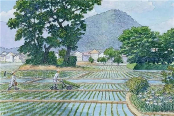 Planting beans in Nanshan and picking chrysanthemum in Dongli